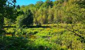 Tour Wandern Gedinne - Marche Adeps à Gedinne - Photo 9