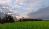 Trail Walking Riemst - montagne St-Pierre / St Pietersberg - Photo 9