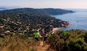 Tocht Elektrische fiets Ramatuelle - VTT-AE - Mataranne - Bonne Terrasse - Camarat - Collebasse - paillas. - Photo 11