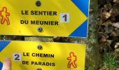 Randonnée Marche Corrèze - Chemin du Paradis - Photo 5