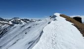 Tocht Sneeuwschoenen Isola - Mont St Sauveur  - Photo 4