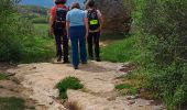 Trail Walking Saint-Pierre-d'Alvey - Mont Tournier pierre vire-28-04-23 - Photo 5