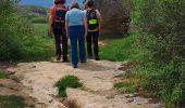 Tour Wandern Saint-Pierre-d'Alvey - Mont Tournier pierre vire-28-04-23 - Photo 5