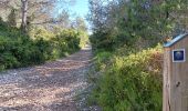 Trail Walking Aramon - aramon - les castillonnes  - Photo 14