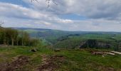 Tocht Stappen La Roche-en-Ardenne - la roche - rendeux - la roche - Photo 3