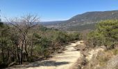 Tour  Rustrel - Rustrel - Colorado  - Photo 9