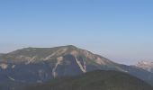 Percorso Marcia Seyne - SEYNES LES ALPES . Grand puy , montagne de la Blache , cabane du Mulet o l s - Photo 15