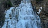 Trail Walking La Chaux-du-Dombief - Les cascades du hérisson randonneur  - Photo 3