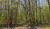 Trail Mountain bike Mutzig - parcours test VTTAE Mutzig  - Photo 2