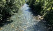 Tour Wandern Saint-Lary-Soulan - Vieille Aure-Trachère - Photo 7