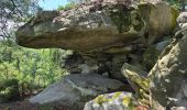 Randonnée Marche Milly-la-Forêt - Milly-la-Forêt - Forêt domaniale des Trois pignons - Curiosités  - Photo 19