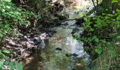 Tour Zu Fuß Wormeldingen - Traumschleife Wein- und Naturpfad Palmberg Ahn - Photo 5