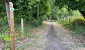 Trail Walking Mons - Saint Denis 13,5 km - Photo 7