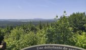 Randonnée Marche Villers-sous-Chalamont - Route des sapins Montorge - Photo 11