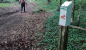 Trail Walking Thin-le-Moutier - Froidmont 21 - 07-2022 - Photo 1