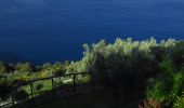 Randonnée Marche Monterosso al Mare - Mte Focone en boucle depuis Monterosso - Photo 3