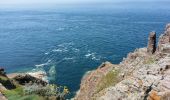 Tour Wandern Plévenon - Cap Fréhel - 2017 06 22 - Photo 10