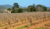 Randonnée Marche La Crau - Fenouillet - Chateau de Hyères - retour par les vignes - Photo 4