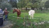 Tour Wandern Corconne - Corconne vignes garrigue oliveraies  - Photo 13