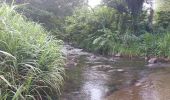 Randonnée Marche Le Lorrain - Boucle Morne Capot via La Pirogue - Photo 3