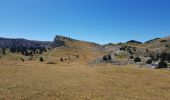 Trail Walking Saint-Agnan-en-Vercors - Pas des chatons  depuis la coche - Photo 2