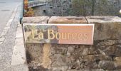 Trail Walking Burzet - Burzet (Myrtille) - Photo 3