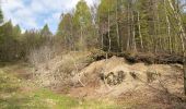 Trail On foot Lügde - Wanderweg Dreieck Nach Elbrinxen - Photo 5