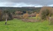 Excursión Senderismo Stavelot - Francorchamps  - Photo 4