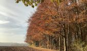 Tocht Stappen Graven - Nethen Meerdael  - Photo 2