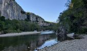 Randonnée Marche Berrias-et-Casteljau - Presqu'ile de Casteljau, sentier de découverte - Photo 2