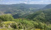 Trail Walking Serres - Serres Cardou  - Photo 3