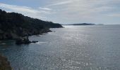 Trail Walking Hyères - Viens - Photo 11