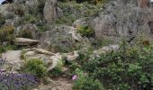 Tour Wandern Collioure - Tour Madeloc-Boucle_col-de-Serra_T - Photo 1