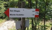 Trail On foot Calestano - Chiastre - Torrente Baganza - Cassio - Chiastra di San Benedetto - Photo 5