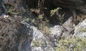 Tour Wandern Saint-Léger-du-Ventoux - la crête de la montagne de bluye - Photo 1