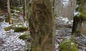 Tocht Stappen Mollkirch - Château de Guibaden - Photo 3