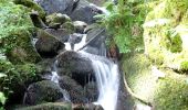 Excursión Paseo ecuestre Stosswihr - 2018-08-26 Picnic CVA Cascades Stosswihr - Photo 2