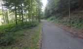 Tocht Mountainbike Chimay - Baileux - Couvin - Ry de Rome - Regniessart - 65km  : 1250 - Photo 10