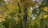 Tour Mountainbike Gerpinnes - Fromiée Thy-le-bauduin Laneffe Morialmé  - Photo 1