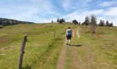 Trail Walking Muhlbach-sur-Bruche - Les chaumes de Grendelbruch - Photo 7