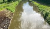 Percorso  Reugny - Canal du Berry  - Photo 3