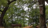 Tour Wandern Günsbach - Gunsbach - Munster - Photo 7