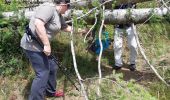 Tocht Stappen Arfons - Arfons granges vieilles et croix de Montalric - Photo 2