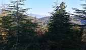 Tour Wandern Bagnols-en-Forêt - BAGNOLS EN FORET -Le bois de Bagnols en Forêt- MBO - Photo 6