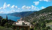 Tocht Te voet Camogli - Ruta - Pietre Strette - Olmi - Portofino - Photo 4