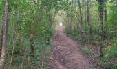 Tour Wandern Châtenay-Malabry - Verrières  - Photo 6