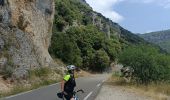 Trail Electric bike Monteux -  Carpentras gorges de la Nesque - Photo 12