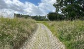 Tour Wandern Ninove - Ninove Geraardsbergen 28 km - Photo 15