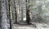 Trail Walking Besse-et-Saint-Anastaise - 2020-02-15 13:19:34 Jour - Photo 17