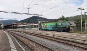 Tour Zu Fuß Einsiedeln - Einsiedler Herbschtfäscht - Photo 1